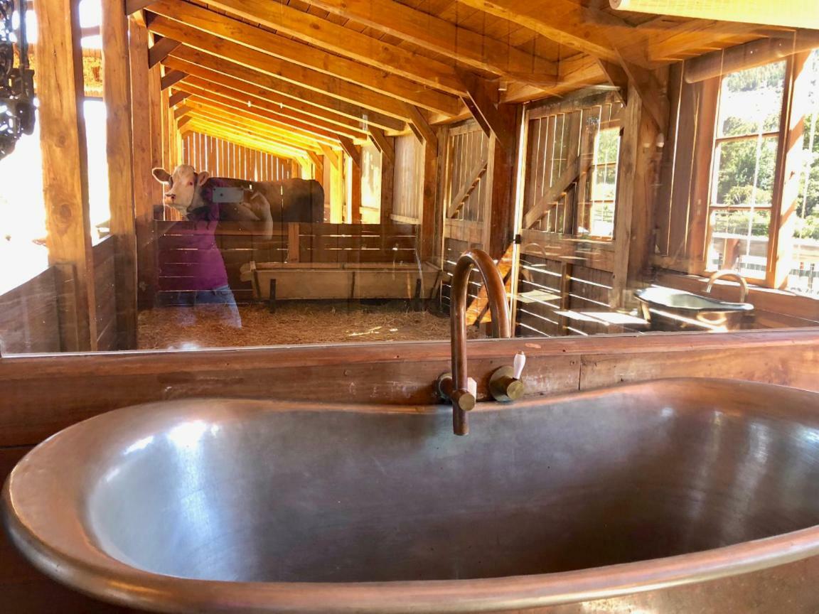 Inspiring Farm Sanctuary And Famous Painting Pig Hotel Franschhoek Exterior foto