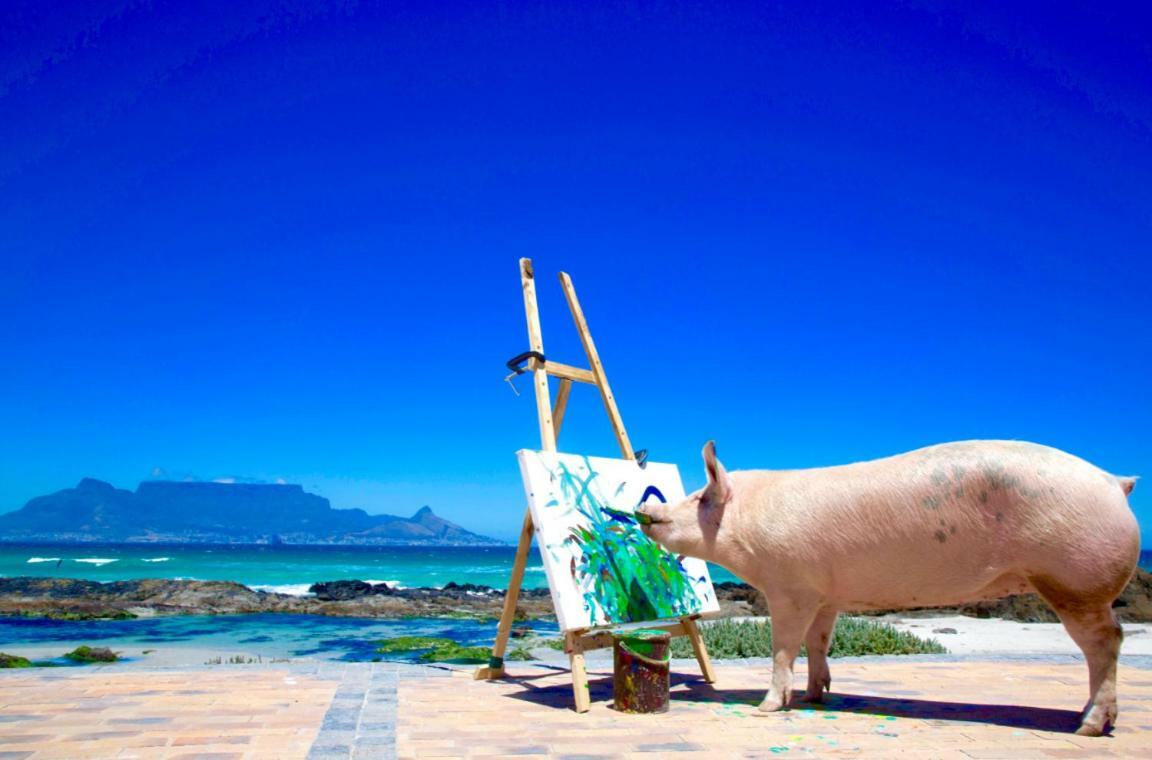 Inspiring Farm Sanctuary And Famous Painting Pig Hotel Franschhoek Exterior foto