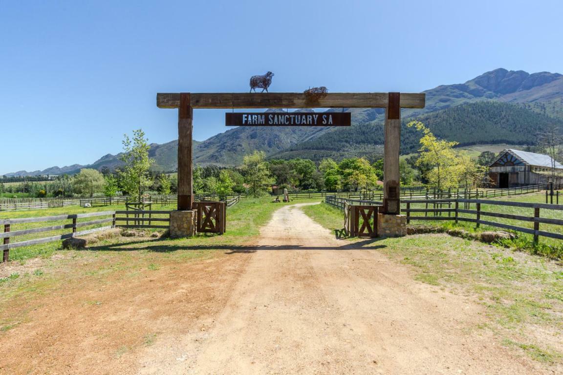 Inspiring Farm Sanctuary And Famous Painting Pig Hotel Franschhoek Exterior foto